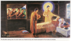 Vấn đề tự sát trong Tăng đoàn thời Phật